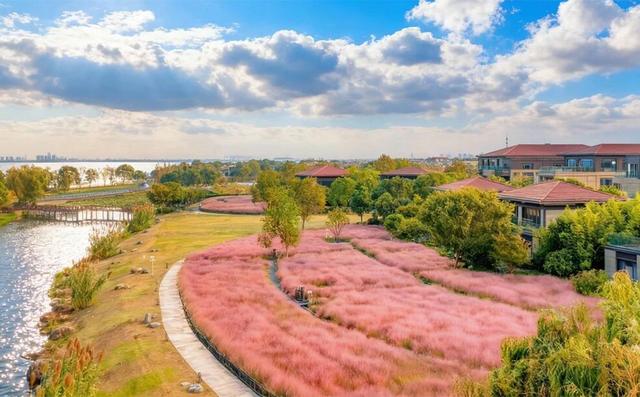 周末微度假去哪儿？首选阳澄湖半岛体验“满澄尽啖黄金甲”秋日超燃狂欢