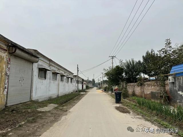 冠县乡韵·桑阿镇野场村