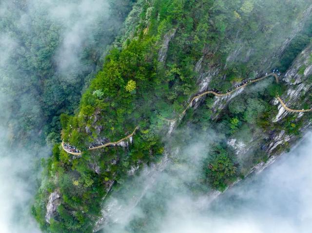 明月山免票福利来啦！三八妇女节邀你一起“上春山”！