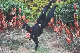 海南这个“芒果之乡” ，有点潮！图片