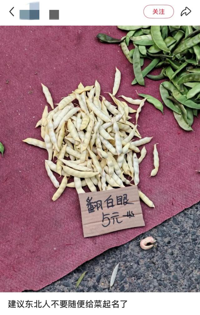 东北旅游，开始流行「命苦三件套」