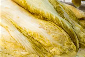 腌酸菜，别再用水腌了，记住3个诀窍，酸爽脆嫩，坛子不生花图片