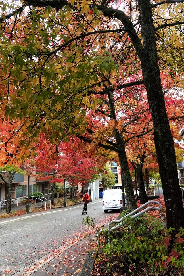 去北美洲加拿大和古巴的旅程