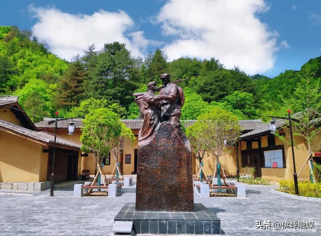 清明不想挤人海？来佛坪邂逅金丝猴、漫步金色花海→