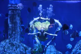 欢乐继续，来潍坊寿光极地海洋世界打卡吧！图片