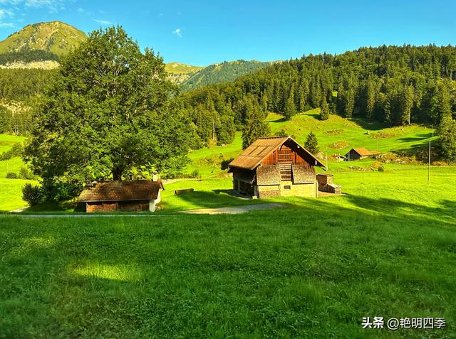 欧游杂记（4）‖ 从因特拉肯到卢塞恩，最大的惊喜是途中的龙疆
