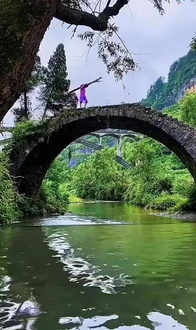 手机壁纸精美图片（31）