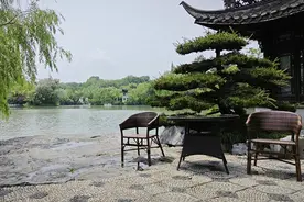 为什么升官前会梦见棺材，发财前会梦见粪便？—世说故事精华18图片