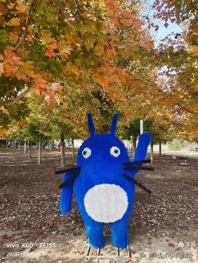 丹枫映秋,枫彩满楼|申艳娟