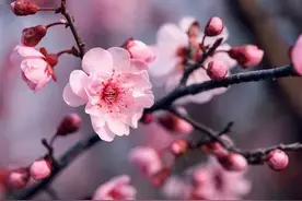 交往女生发“嗯嗯”是什么意思，男性要懂得图片