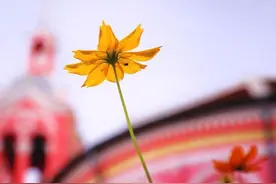 面对亲情的凉薄，不要愤怒，不要讲道理：做到3点，就够了图片