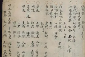 中医类抄本——《十三鬼穴针法》图片