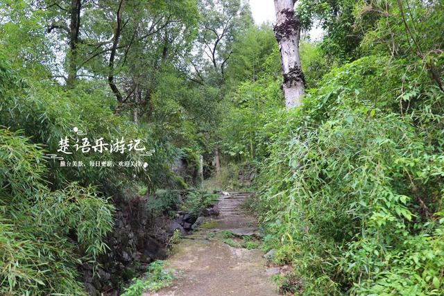 宁波奉化由九龙传说得名的山村，既如世外桃源又如绿野仙踪，真美