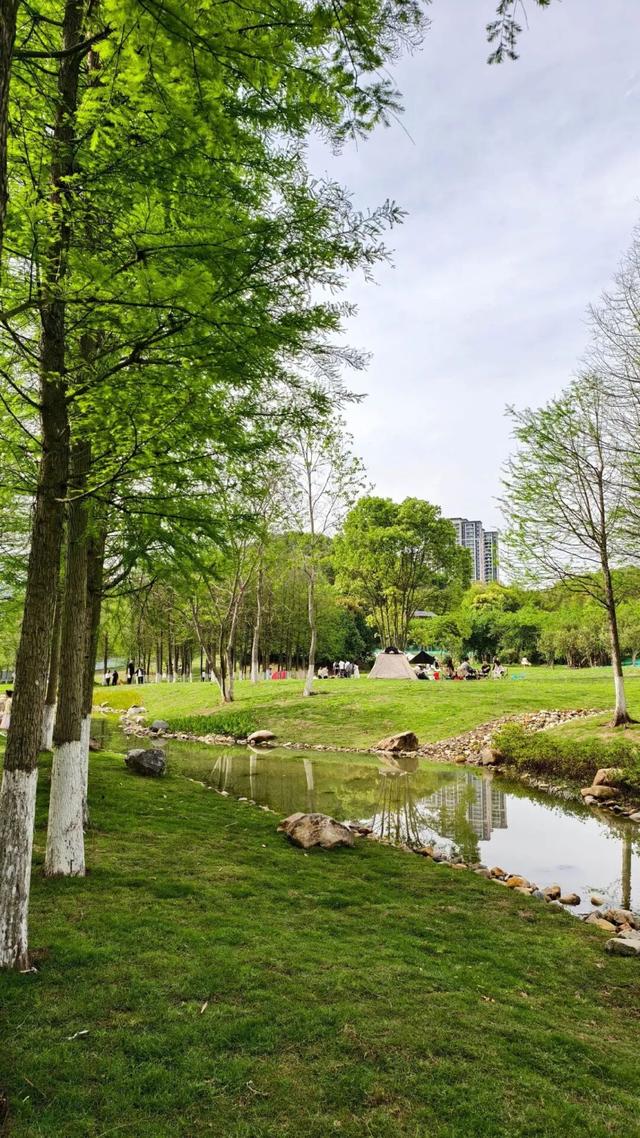 大数据懂你！当代人的治愈风吹到了三明！专属“阿勒泰”为你而来