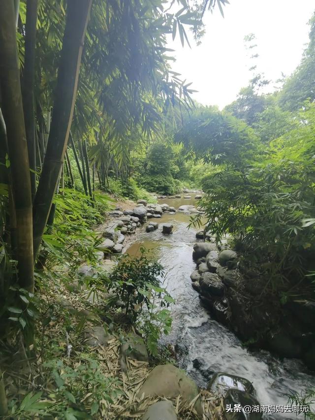在家门口实现带娃溯溪自由！玩水抓螃蟹buff叠满，谁来谁上头