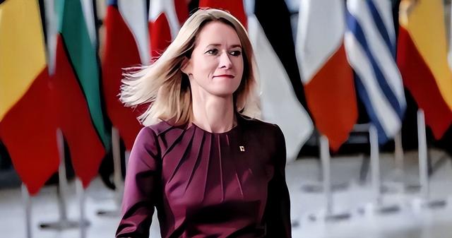 中方刚对日本反制，欧盟外长态度大变	，当着27国的面罕见致敬中国，对外释放信号不简单