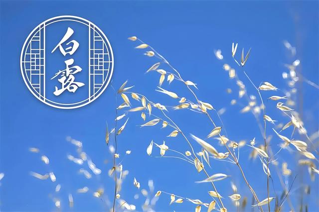 白露：秋霜染尽千山叶，明月空照万家灯。一程山水瘦，一寸相思深