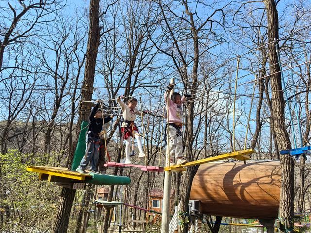 清明踏青人气旺 康养宜君迎客来——宜君县清明假期文旅市场火热收官