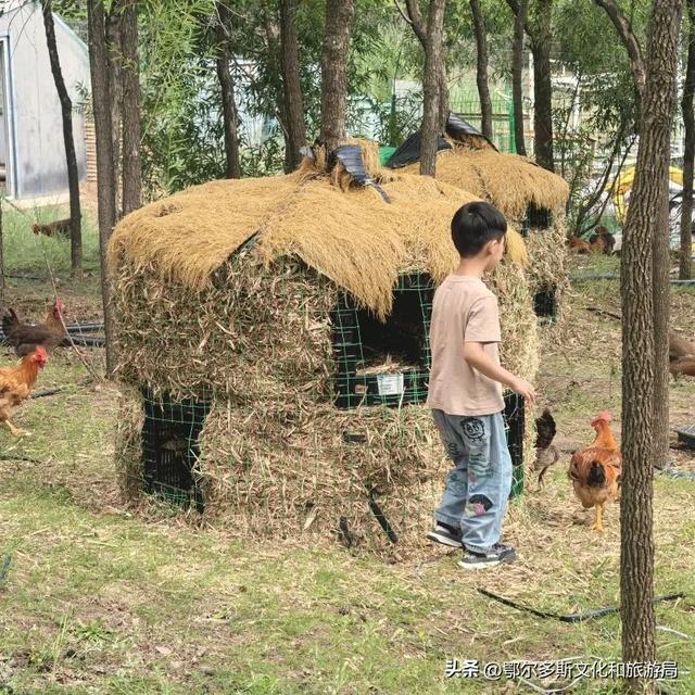 @你，鄂尔多斯植物园全攻略！暑期宝藏路线图！
