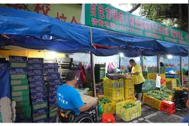 残疾人创业典型 | 周帮瑞：一条腿走出甜蜜芒果创业路图片