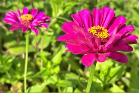 人到中年，女人跟人闲聊，少说以下3个隐私图片