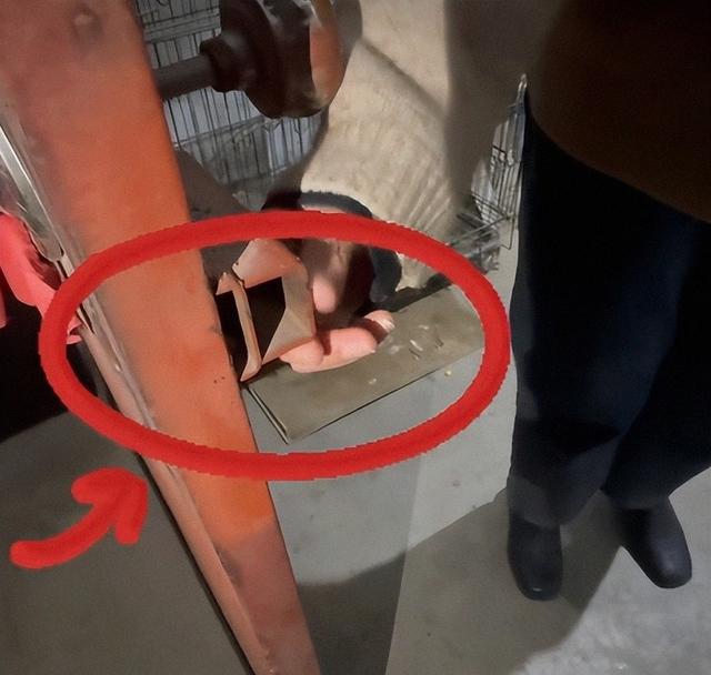 山西摔犬反杀案，律师一句话问住法官：天黑时，你还敢去现场吗？