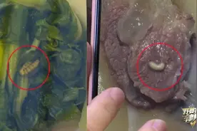 宝妈在月子中心两次吃到“含虫餐”，负责人：证明没打药图片