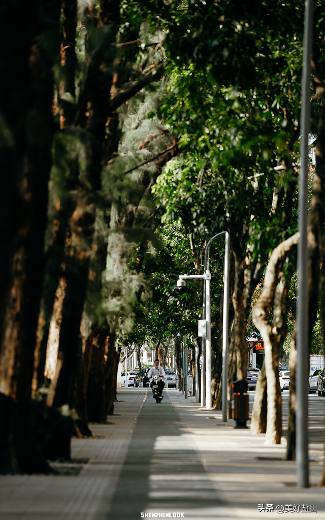 “朋友说，这是深圳最浪漫的海边Citywalk”