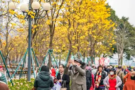 好漂亮！广州这条专线开行，经过这些特色打卡点图片