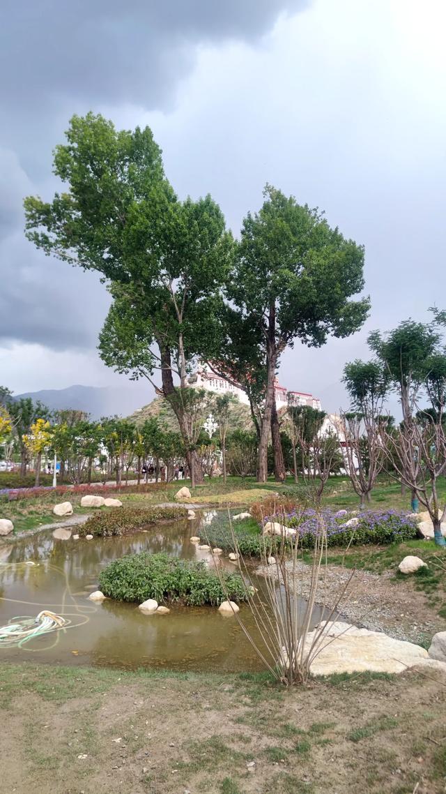 拉萨药王山北面团结公园，今年新竣工开放，雨中漫步眺望布达拉宫