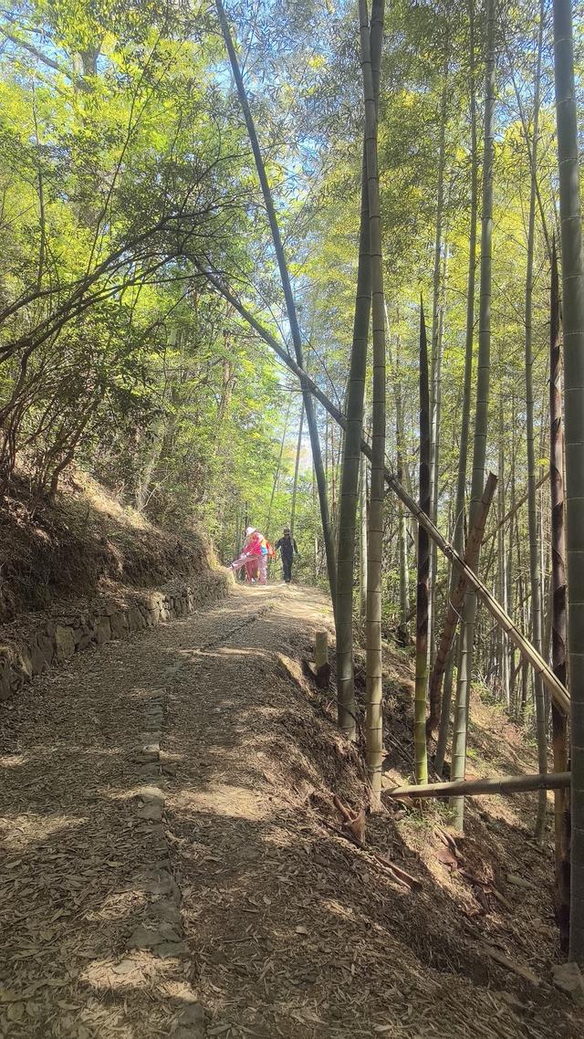 绍兴梅坞古道一条 对新手小白特别友好的线路