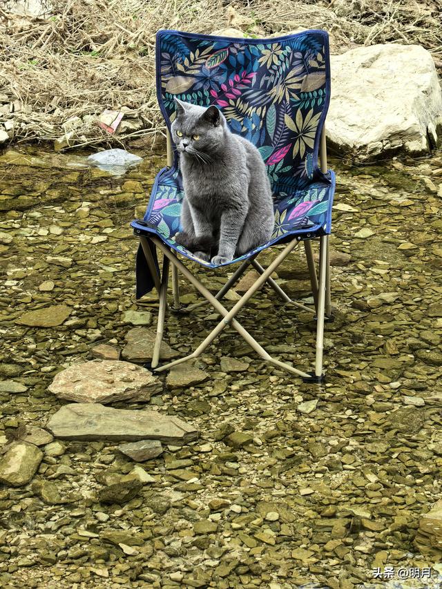 龙洞胜境尤奇崛