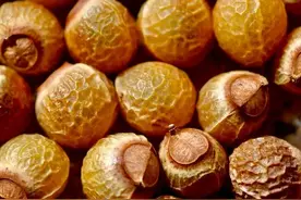 自制植物洗发水，头皮清爽发量美图片