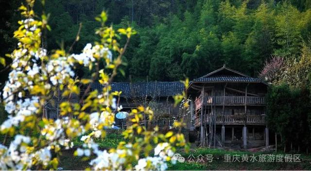 小布丁·早安丨地名里的重庆：石柱黄水，文化与山水交汇的“宝藏秘境”