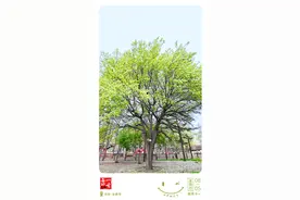 早啊！新闻来了〔2025.5.8〕图片