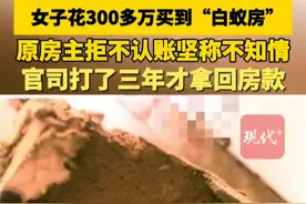 女子花300万买到白蚁房，打了三年官司！法院：原房主返还全部购房款图片