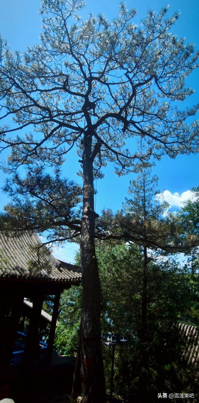 承德避暑山庄掠影