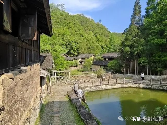 古道古宅藏尽浙南乡土烟火诗意，温州这个小众古村等你来打卡！