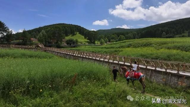 恒山讲韵|杨世骏:东方小瑞士东葫芦头村,花海美成阿勒泰既视感