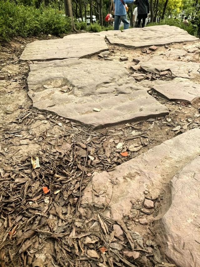 每隔几百米就有垃圾桶，成都网红登山道，纸巾餐盒却散落各处！