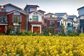 通过这3种方法，老人可以将名下的农村宅基地过户给子女！图片