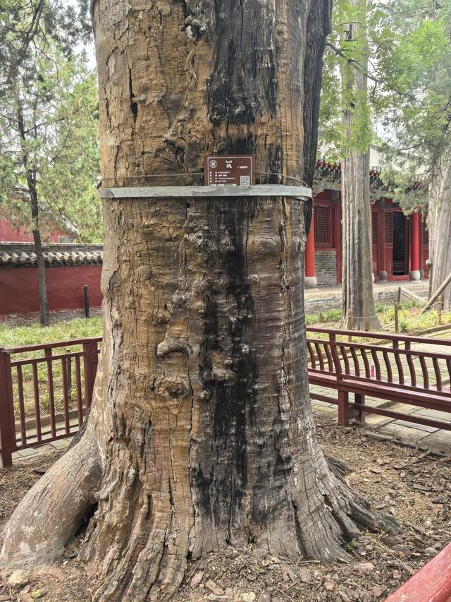 山东邹城游记