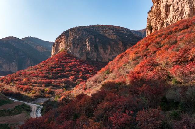 不藏了，河南5个禅意秋景点，帮你在市井中奔波的你寻回内心宁静