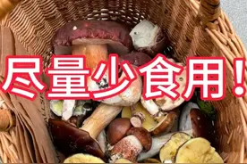 蘑菇，不算荤？也不算素？你能分辨出蘑菇的种类吗？图片