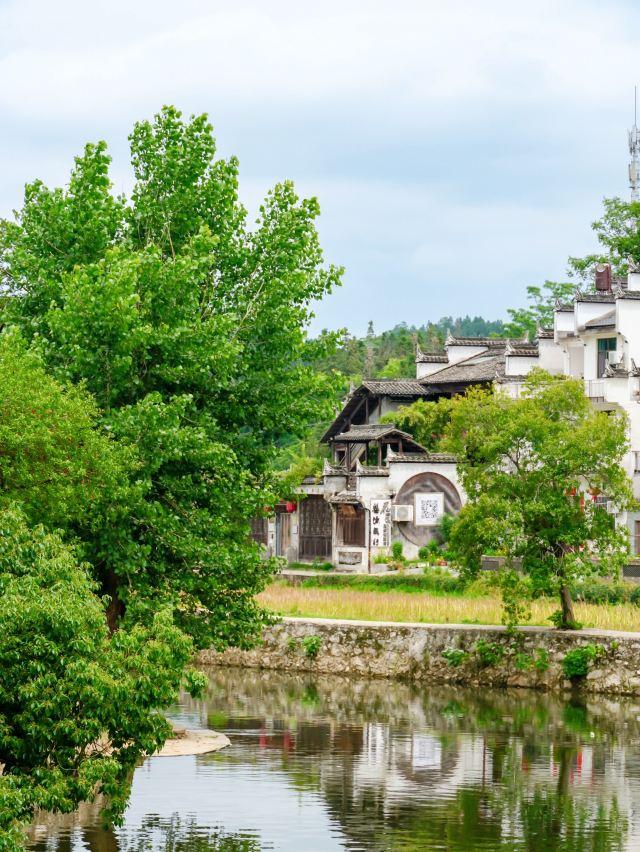 清明小假期不知去哪？来婺源看最美的乡村，把春天都锁在油菜花里
