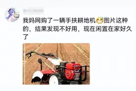 拼多多还真是啥都能买到！网友的评论简直太离谱，购买欲直接拉满图片