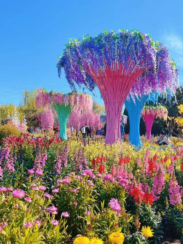 半日休闲游玩 | 牡丹+流苏+多巴胺花海，好拍到停不下来