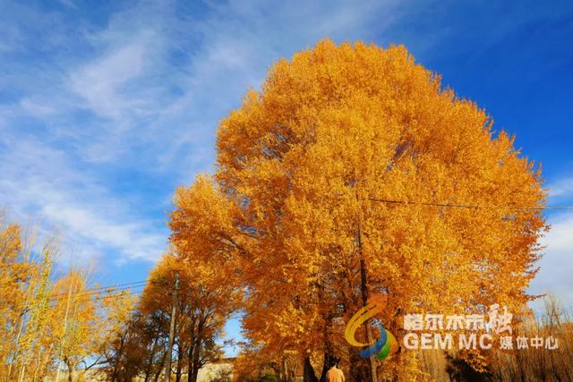 收藏！格尔木秋日美景，这份视觉盛宴千万别错过