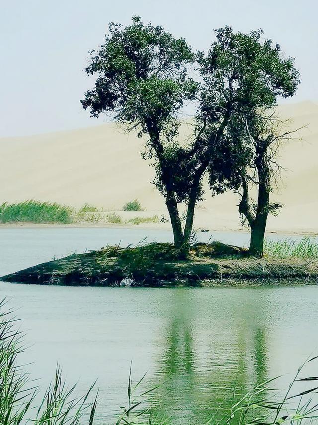 新疆罗布人村寨