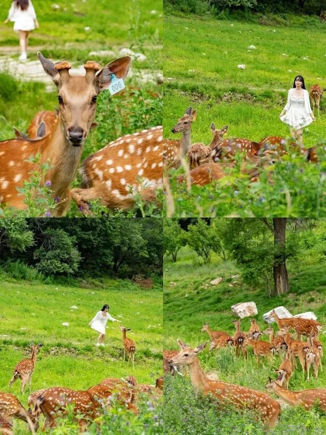 长春拟新增2家4A级景区